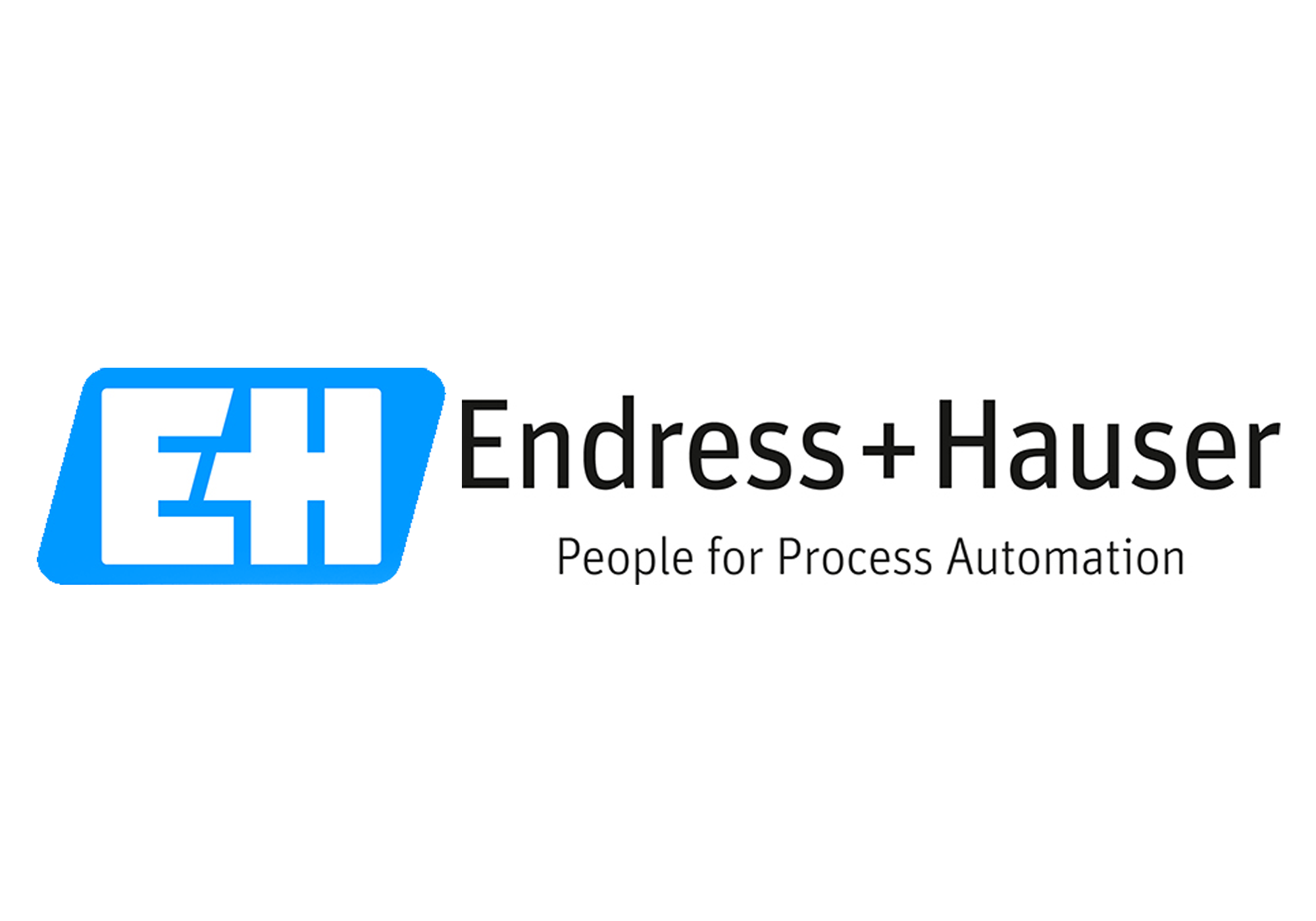 Endress+Hauser