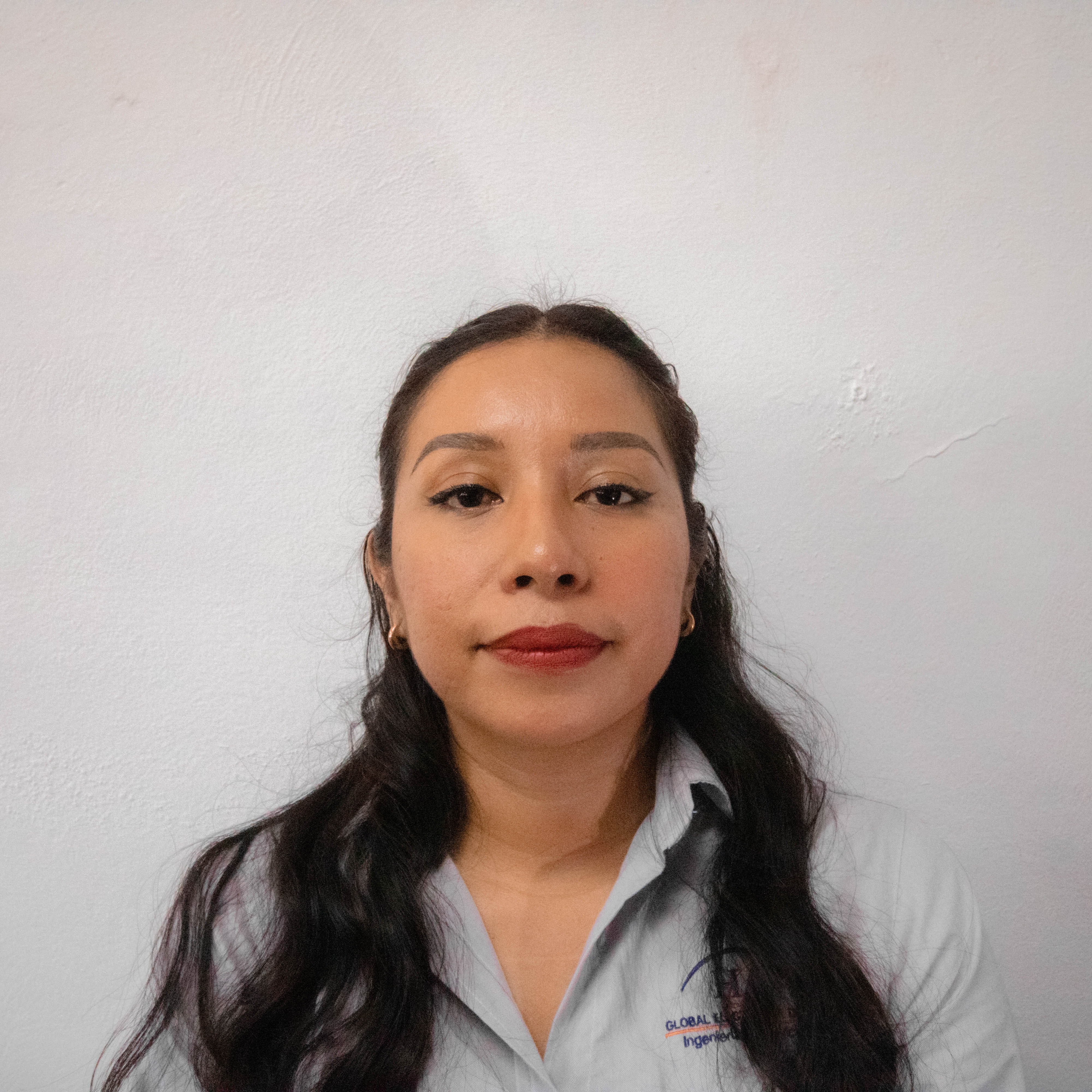 perfil